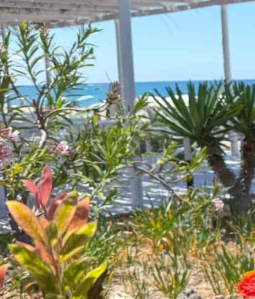 Poseidonia Poseidonia Beach Club