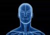 Metastasi epatiche: nuova tecnica in studio allo IEO Tumore al fegato - metastasi epatiche