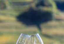 Müller Thurgau Trentino
