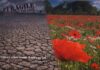 Terre di Comino Smart Land: Marchio 4E Plus al via Progetto Green Communities - TERRE DI COMINO SMART LAND