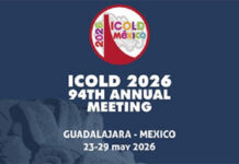 Antonella Frigerio vicepresidente ICOLD Antonella Frigerio vicepresidente ICOLD